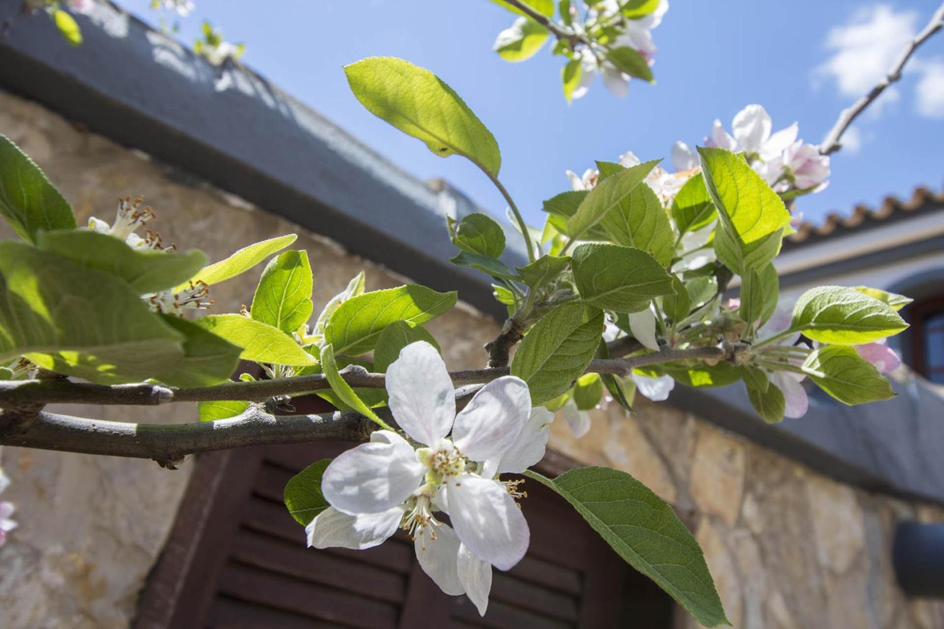 Villa Arrochela Vilamoura Exterior photo